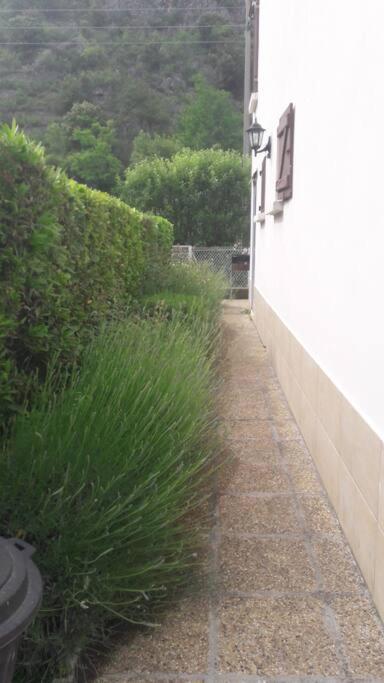 Jolie Maison Avec Jardin Villa Villefranche-de-Conflent Eksteriør bilde